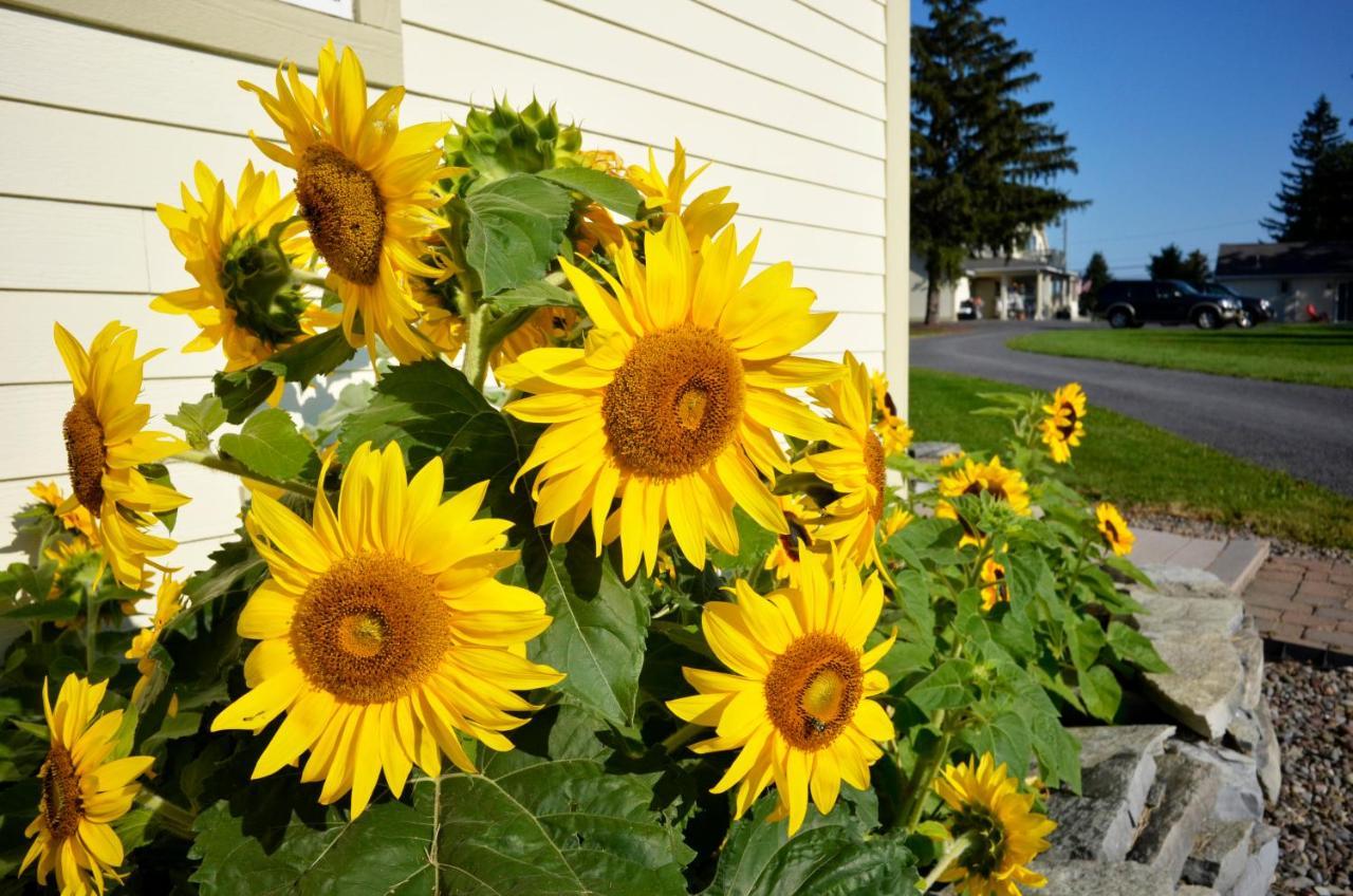 Skaneateles Suites Exterior foto